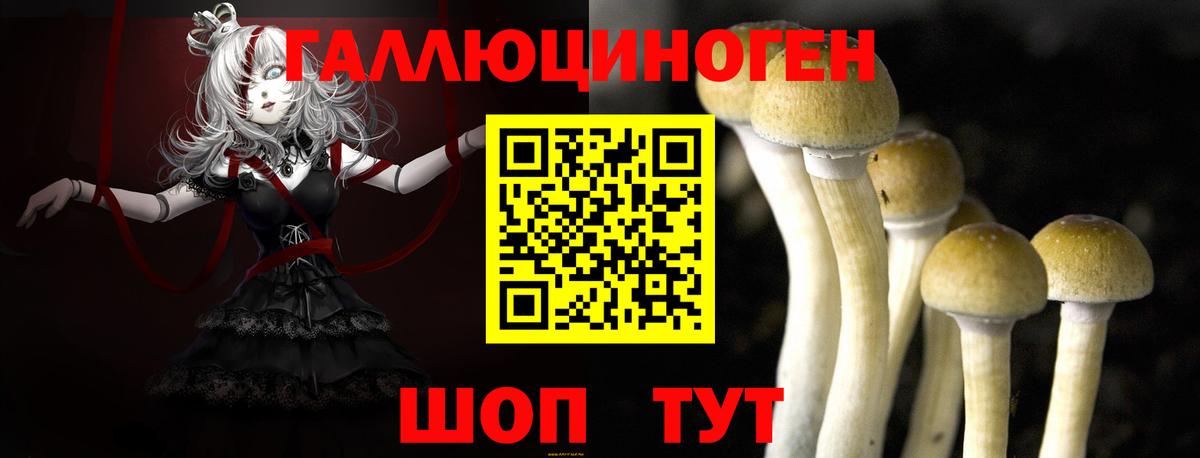 Ялуторовск  Псилоцибиновые грибы Magic Shrooms  Вход с VPN 